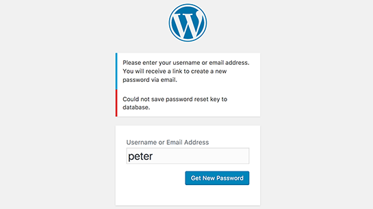 ارور could not save password reset key to database در وردپرس