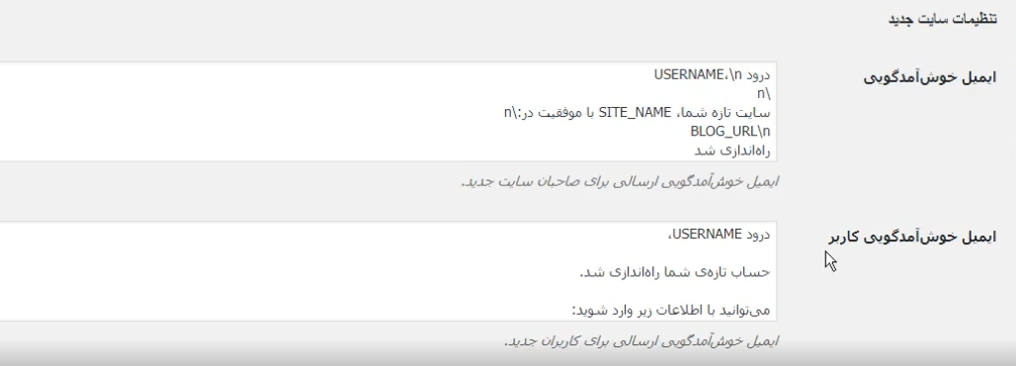 تنظیمات سایت جدید در مولتی سایت وردپرس